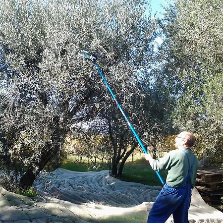 Agriturismo B And B Rifugio Dei Sogniヴォルテッラ エクステリア 写真