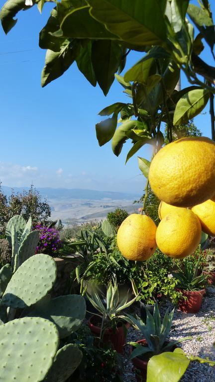 Agriturismo B And B Rifugio Dei Sogniヴォルテッラ エクステリア 写真