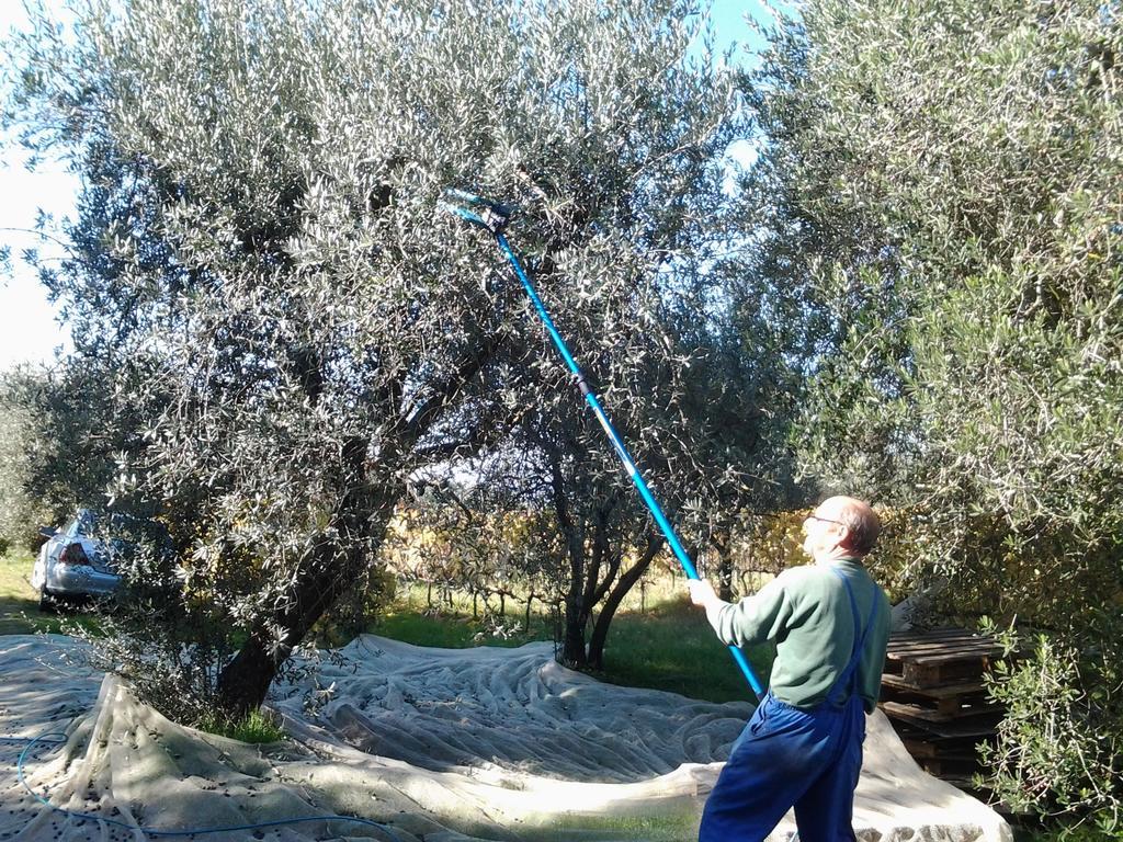 Agriturismo B And B Rifugio Dei Sogniヴォルテッラ エクステリア 写真